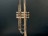 a silver trumpet sitting on top of a marble counter top