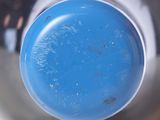 a close up of a bottle with a blue lid