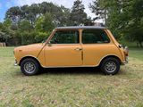 Photo 7/49 du lot