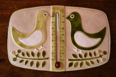 a picture of a thermometer with two birds on it