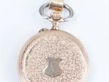 a silver pocket watch with an apple logo on it