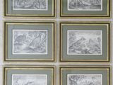 six framed engravings of animals and birds on a wall