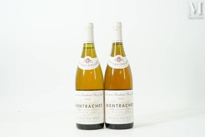 deux bouteilles de vin posées l'une à côté de l'autre sur une surface blanche
