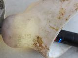 un champignon posé sur une table à côté d'une horloge