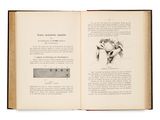 an open book with a drawing of a horse on it ' s cover