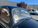 cars parked in a parking lot with a dog in the passenger seat
