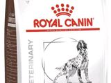 Aliment pour chien Royal Canin Gastrointestinal à faible teneur en matières grasses