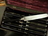 a knife in a case with six knives inside of it