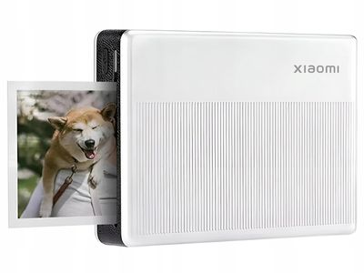 une photo Polaroïd blanche sur laquelle figure l'image d'un chien
