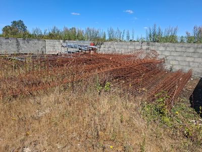 beaucoup de mauvaises herbes qui poussent dans le champ