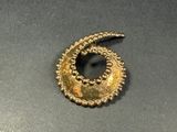 an image of a gold brooch with a spiral design on it