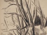 a black and white drawing of a tree by the water