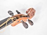 a close up of a violin with a string on it