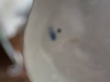 a close up of a white plate with a blue eye