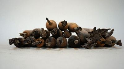 a pile of nuts that are sitting on a table