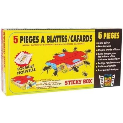 a close up of a box of stickers on a white background