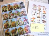 de nombreuses images différentes de champignons sur une feuille de papier