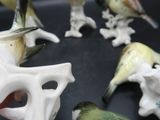 une personne tenant une assiette ornée de figurines d'oiseaux