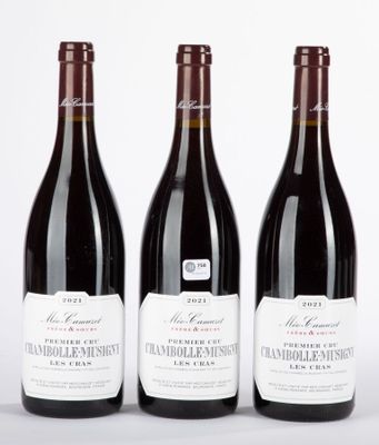 trois bouteilles de vin sont alignées sur une surface blanche