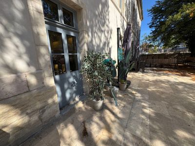 une plante en pot posée sur le trottoir, devant un immeuble