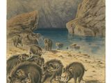 tableau représentant un groupe d'animaux sauvages dans un paysage rocheux