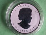 the coin is in a clear plastic container on a green surface