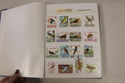 6 classeurs Thème de la nature, Médecine + 2 classeurs WWF