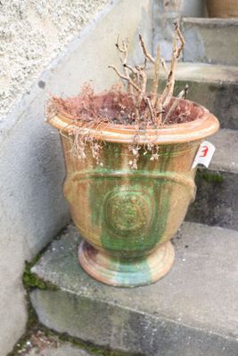 une plante en pot posée sur les marches d'un immeuble