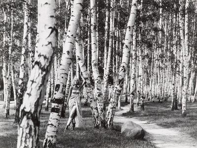 a black and white photo of a path through a forest