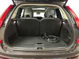 the back of a car with the trunk open and the seats down
