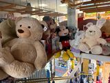 de nombreuses peluches sur les étagères du magasin