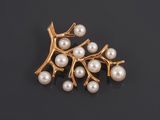 a gold and pearl broochle