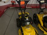 deux tondeuses à gazon qui sont rangées dans le garage