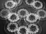 un tas d'assiettes transparentes posées sur une table