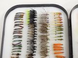 many different types of flies in this case