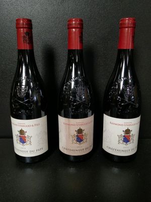 3 bouteilles de vin rouge Domaine Usséglio Raymond & Fils Ch… - Photo 1