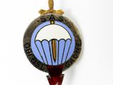 a picture of a badge with a parachut on it