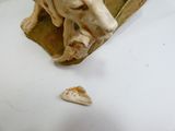 une figurine représentant un chien assis sur une feuille