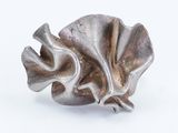 a silver sculpture of a shell on a white surface
