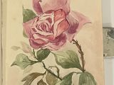 a painting of a pink rose on a book