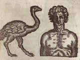 Photo 6/6 du lot