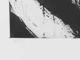 an image of a black and white photo of a black and white painting