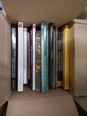 Important lot de 12 cartons livres illustrés (art, voyages) …