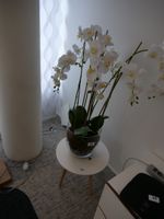 1 TABLE DE REUNION 12 PLACES PLATEAU STRATIFIE BLANC EN 3 PA… (photo 3)