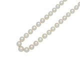 gros plan d'un collier de perles sur fond blanc