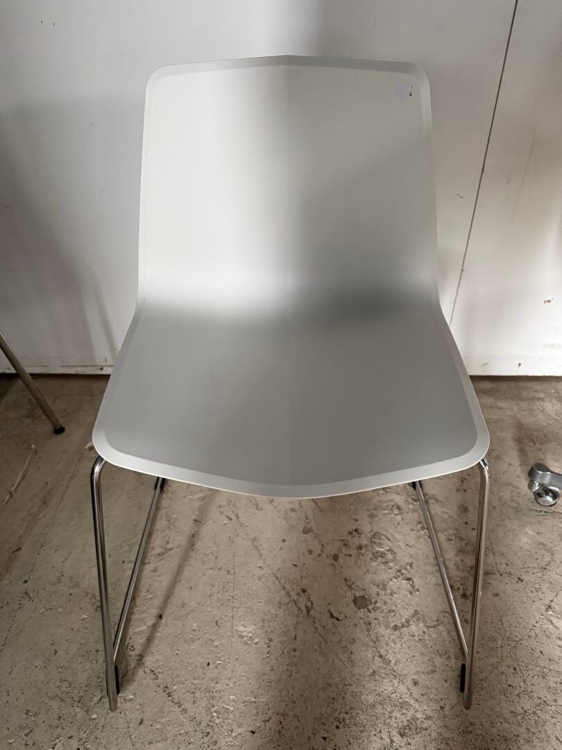 Objets d'art & Curiosités