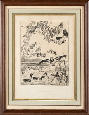 Félix BRACQUEMOND (1833-1914) Vanneaux et sarcelles, 1862 Gr…