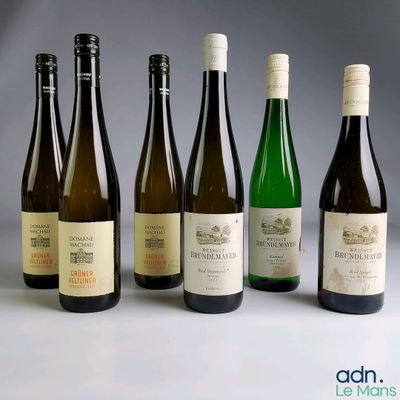 plusieurs bouteilles de vin sont alignées sur une table