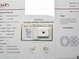 une photo d'un certificat sur lequel figure une pomme rouge