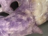 a close up of a purple and white teddy bear